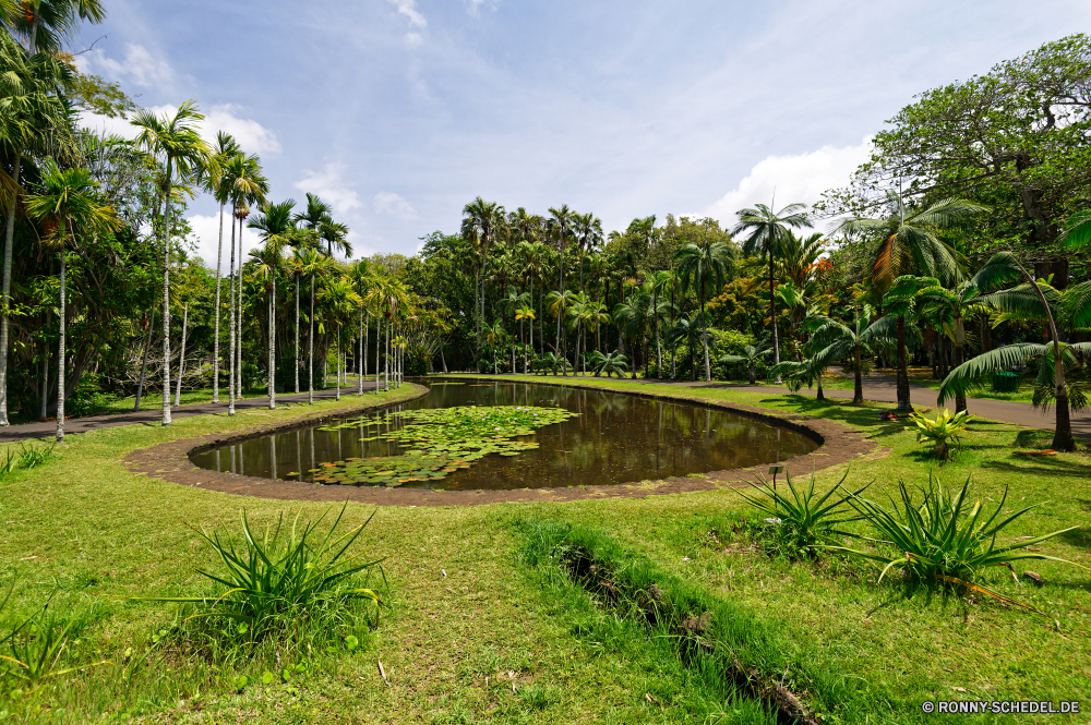 Mauritius Baum Garten Gras Landschaft Feld Sommer Pflanze Bäume Golf Himmel Park Entwicklung des ländlichen Reisen Kurs im freien woody plant Straße Landwirtschaft vascular plant Wald Pfad Rasen Bauernhof Tropischer Frühling Umgebung Landschaft Wasser Land Reis Sport Belaubung im freien Plantage Felder Palm Szene Resort Szenerie üppige Teich zu Fuß außerhalb ruhige Tourismus Hügel sonnig friedliche Blume Wiese natürliche Urlaub landschaftlich Art und Weise idyllische Ernte Farbe Gebäude Land Struktur Sand Hölzer Wolke Wolken Pflanzen Sonne Berg Fairway Insel Tag Loch Saison Kultur Ernte Entspannen Sie sich Holz Freizeit Flag Golfplatz aquatische Flora Sonnenlicht Urlaub Labyrinth Ackerland Gartenarbeit Verein wachsen Bereich Wachstum Blätter tree garden grass landscape field summer plant trees golf sky park rural travel course outdoors woody plant road agriculture vascular plant forest path lawn farm tropical spring environment countryside water country rice sport foliage outdoor plantation fields palm scene resort scenery lush pond walk outside tranquil tourism hill sunny peaceful flower meadow natural vacation scenic way idyllic harvest color building land structure sand woods cloud clouds plants sun mountain fairway island day hole season culture crop relax wood leisure flag golf course aquatic flora sunlight holiday maze farmland gardening club grow area growth leaves