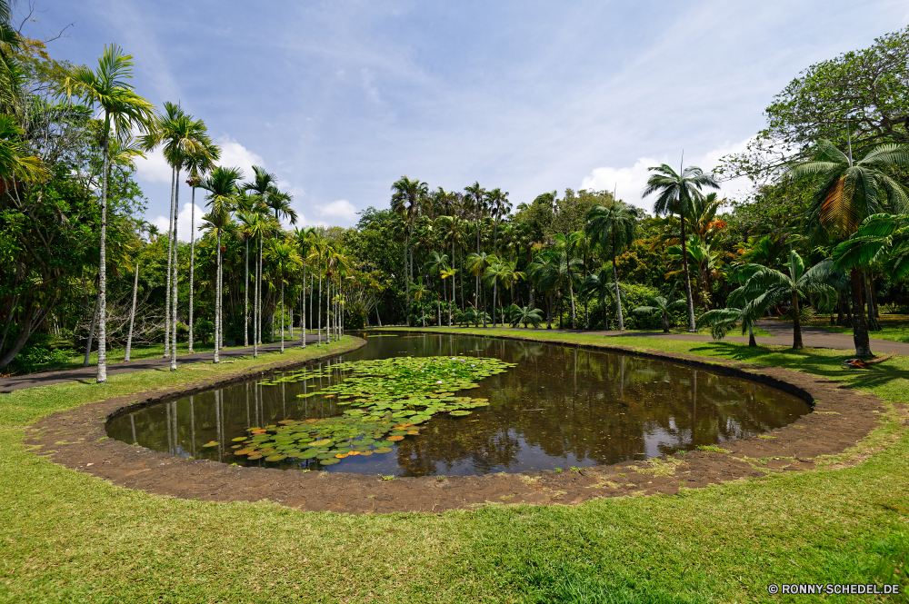 Mauritius Baum Garten Landschaft Gras Sommer woody plant Pflanze Himmel Wasser Bäume Park vascular plant Reisen Tropischer Resort Urlaub im freien Gebäude Rasen im freien Feld Entwicklung des ländlichen Palm Frühling Pfad Wald Tourismus Blume Wolken natürliche Fluss Land landschaftlich Urlaub Insel Entspannen Sie sich Landwirtschaft Sonne außerhalb friedliche Zaun Ozean Kurs Teich Golf Gartenarbeit Belaubung See Landschaft Saison Brücke Bauernhof Kokosnuss Hotel Blätter Szene sonnig Struktur Architektur Meer Frieden Haus Farbe Straße Strand Tourist Umgebung Flora Wolke Blatt Hügel Ziel Stadt ruhige Wiese Sand Tag üppige wachsende zu Fuß Art und Weise Paradies Botanik Szenerie Küste Startseite Berg Ufer tree garden landscape grass summer woody plant plant sky water trees park vascular plant travel tropical resort vacation outdoors building lawn outdoor field rural palm spring path forest tourism flower clouds natural river country scenic holiday island relax agriculture sun outside peaceful fence ocean course pond golf gardening foliage lake countryside season bridge farm coconut hotel leaves scene sunny structure architecture sea peace house color road beach tourist environment flora cloud leaf hill destination city tranquil meadow sand day lush growing walk way paradise botany scenery coast home mountain shore