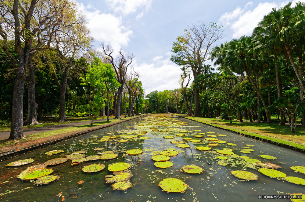 Mauritius