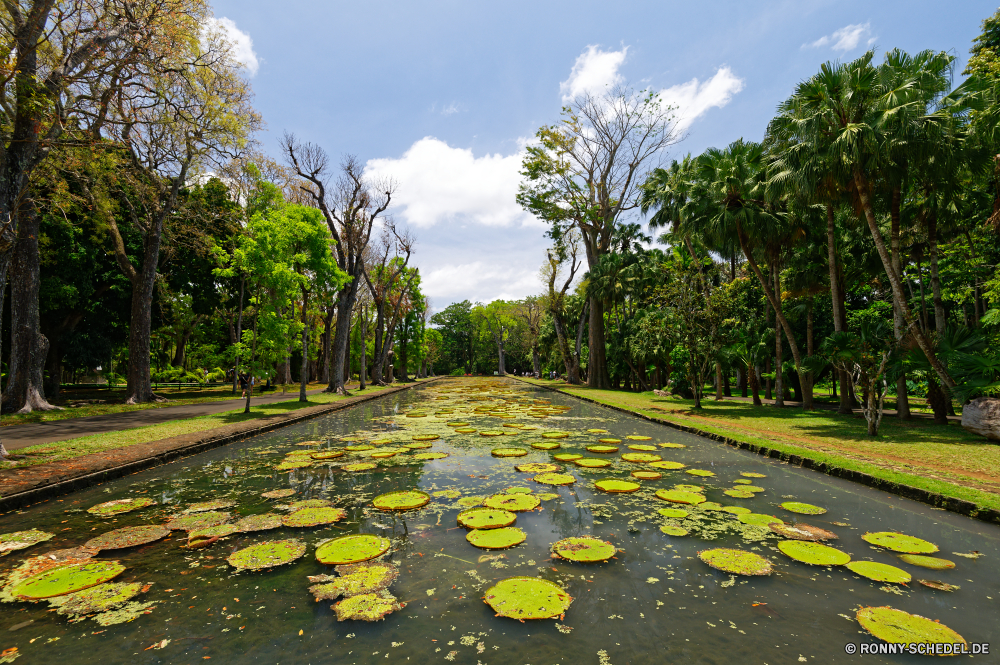 Mauritius