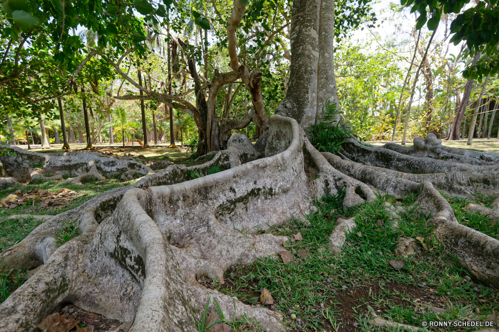 Mauritius