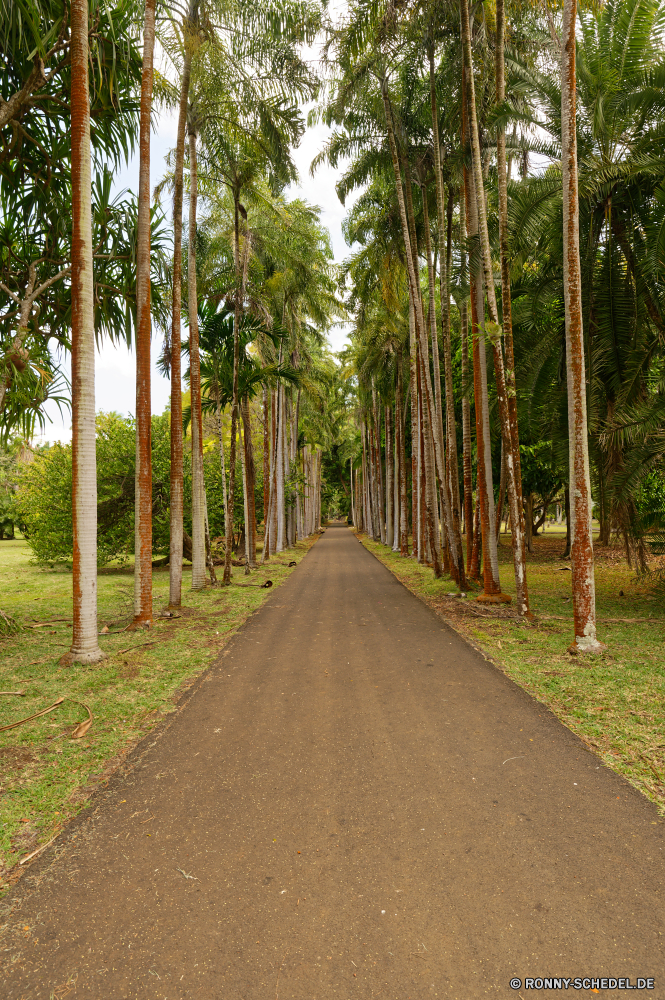 Mauritius