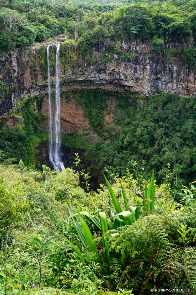 Mauritius Baum Wald Landschaft vascular plant woody plant Wildnis Bäume Pflanze Berg Park Fluss Gras Sommer im freien Reisen Himmel Umgebung natürliche Szenerie Wasser Berge landschaftlich im freien Stein Kraut Wandern Fels Hölzer friedliche Belaubung Tourismus Frühling Land Blatt nationalen Hügel Entwicklung des ländlichen Szene Kiefer Pflanzen Tag Landschaft ruhige Flora Busch Stream Herbst Pfad Wild hoch fallen Moos Saison Holz Dschungel Wasserfall Wiese Sonnenlicht üppige Tal Wanderweg Bewuchs Land Regen Wolken Frieden nass Blätter sonnig Licht See alt Straße Sonne Wanderung Gelände ruhig Wolke niemand Tropischer Felsen Feld Garten Ruhe Fenchel Track Extreme Landschaften Bereich zu Fuß Abenteuer gelassene fließende Strömung Branch Birke tree forest landscape vascular plant woody plant wilderness trees plant mountain park river grass summer outdoors travel sky environment natural scenery water mountains scenic outdoor stone herb hiking rock woods peaceful foliage tourism spring land leaf national hill rural scene pine plants day countryside tranquil flora bush stream autumn path wild high fall moss season wood jungle waterfall meadow sunlight lush valley trail vegetation country rain clouds peace wet leaves sunny light lake old road sun hike terrain quiet cloud nobody tropical rocks field garden calm fennel track extreme scenics area walk adventure serene flowing flow branch birch