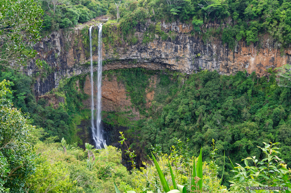 Mauritius Baum Landschaft Wald vascular plant Pflanze Berg Gras Kraut Bäume woody plant Himmel Berge im freien Stein Sommer Park Szenerie Fluss Reisen Entwicklung des ländlichen Hügel Wildnis landschaftlich Fels natürliche Wasser Landschaft cow parsley Hölzer Pfad Tourismus Szene friedliche Frühling Feld Umgebung Garten Sonne Straße Brücke Blatt Herbst Tal im freien sonnig Land Wolken Wiese Landwirtschaft Pflanzen Belaubung nationalen ruhige hoch Wolke Saison Sonnenlicht gelb Blätter Bereich See fallen alt Hügel Wanderweg Land ruhig Landschaften Stream Bauernhof Flora Gelände Bewuchs Tag Felsen Ruhe Frieden Urlaub Horizont Kiefer Weingut klar Moos Architektur niemand Mauer Busch Extreme idyllische Ziel Viadukt Licht Tourist Birke bunte tree landscape forest vascular plant plant mountain grass herb trees woody plant sky mountains outdoors stone summer park scenery river travel rural hill wilderness scenic rock natural water countryside cow parsley woods path tourism scene peaceful spring field environment garden sun road bridge leaf autumn valley outdoor sunny land clouds meadow agriculture plants foliage national tranquil high cloud season sunlight yellow leaves area lake fall old hills trail country quiet scenics stream farm flora terrain vegetation day rocks calm peace vacation horizon pine vineyard clear moss architecture nobody wall bush extreme idyllic destination viaduct light tourist birch colorful