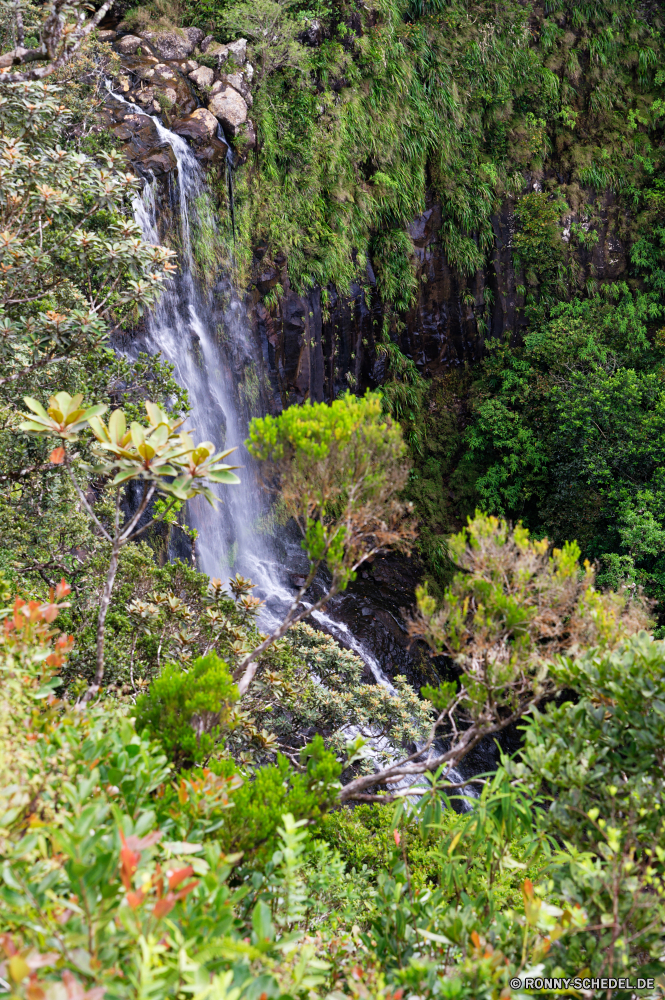 Mauritius Baum woody plant Wald vascular plant Fluss Landschaft Bäume Park Pflanze Wasser Wildnis Berg im freien Wasserfall Stein fallen Fels Stream natürliche Herbst Umgebung im freien Belaubung Reisen Moos Strauch landschaftlich Sommer Blatt fließende Berge Strömung Blätter Szenerie Gras Creek Holz Szene Frühling Kaskade friedliche nass Wild Tourismus Saison Bewegung Hölzer Felsen ruhige bunte Entwicklung des ländlichen See Wandern frische Luft platsch Branch gelb Flora frisch Farben klar Garten fällt nationalen Reinigen felsigen Land Pfad kalt Ökologie Kraut gelassene Orange Frieden Landschaft Drop Sonne üppige Busch Himmel Golden Wasserfälle fallen Tag Landschaften außerhalb Abenteuer southern beech Pflanzen glatte Detail Sonnenlicht Wanderung Farbe Wanderweg Bereich Urlaub Licht Kiefer Erholung Ahorn tree woody plant forest vascular plant river landscape trees park plant water wilderness mountain outdoor waterfall stone fall rock stream natural autumn environment outdoors foliage travel moss shrub scenic summer leaf flowing mountains flow leaves scenery grass creek wood scene spring cascade peaceful wet wild tourism season motion woods rocks tranquil colorful rural lake hiking freshness splash branch yellow flora fresh colors clear garden falls national clean rocky country path cold ecology herb serene orange peace countryside drop sun lush bush sky golden waterfalls falling day scenics outside adventure southern beech plants smooth detail sunlight hike color trail area vacation light pine recreation maple